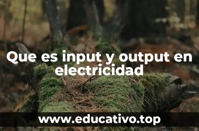 Que es input y output en electricidad