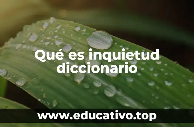 Qué es inquietud diccionario