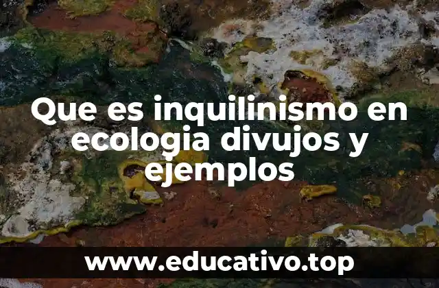 Que es inquilinismo en ecologia divujos y ejemplos