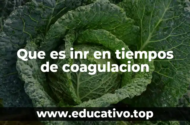 El papel del INR en el manejo de enfermedades cardiovasculares