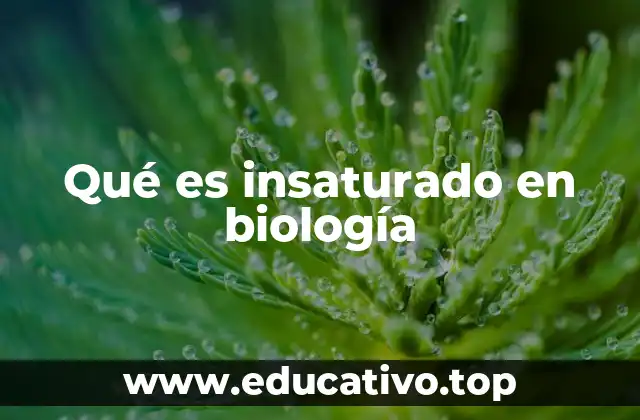 Qué es insaturado en biología