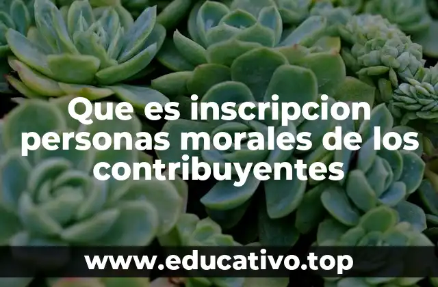 Que es inscripcion personas morales de los contribuyentes