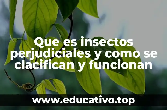 Que es insectos perjudiciales y como se clacifican y funcionan
