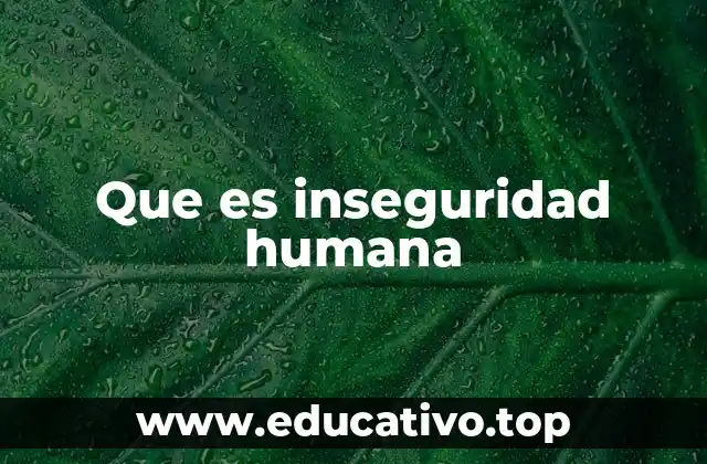 Que es inseguridad humana
