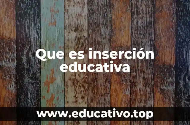 Que es inserción educativa