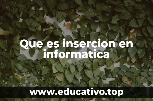 Que es insercion en informatica
