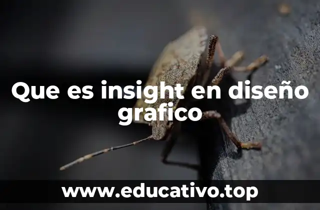 Que es insight en diseño grafico