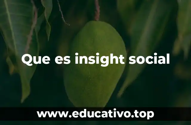 Que es insight social