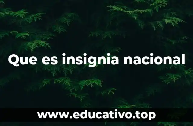Que es insignia nacional