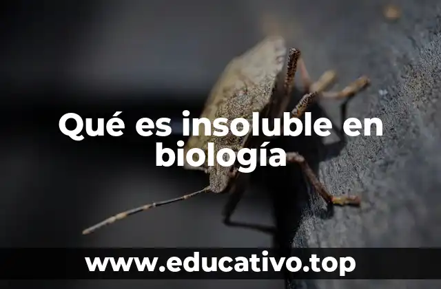 La importancia de la insolubilidad en la estructura celular