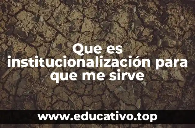 Que es institucionalización para que me sirve