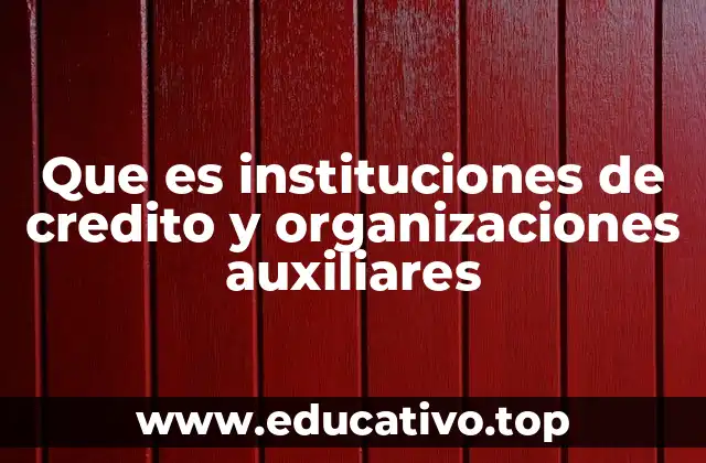Que es instituciones de credito y organizaciones auxiliares