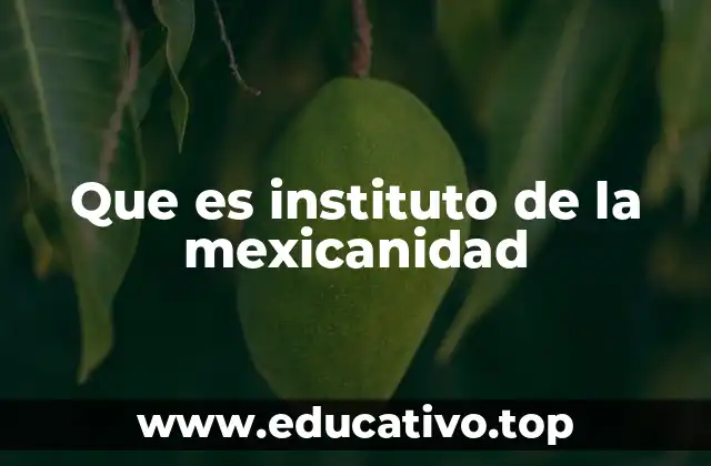 Que es instituto de la mexicanidad