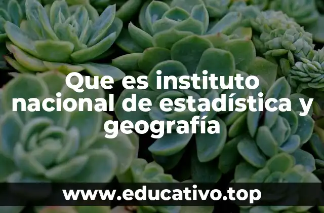 Que es instituto nacional de estadística y geografía