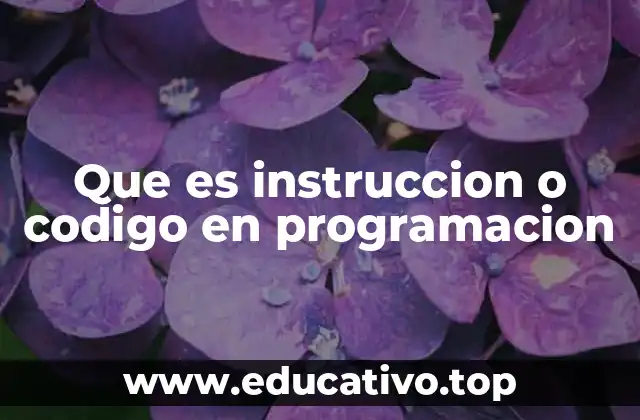 Que es instruccion o codigo en programacion