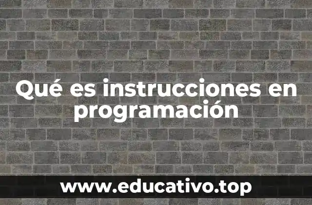 Qué es instrucciones en programación