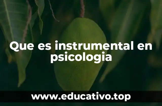 Que es instrumental en psicologia