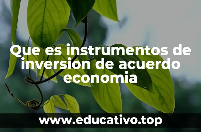 Que es instrumentos de inversion de acuerdo economia