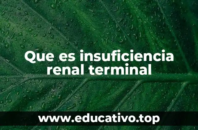 Que es insuficiencia renal terminal