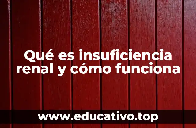 Cómo afecta la insuficiencia renal al equilibrio del cuerpo