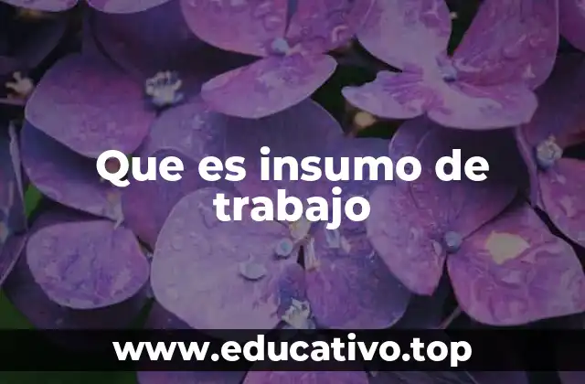 Que es insumo de trabajo