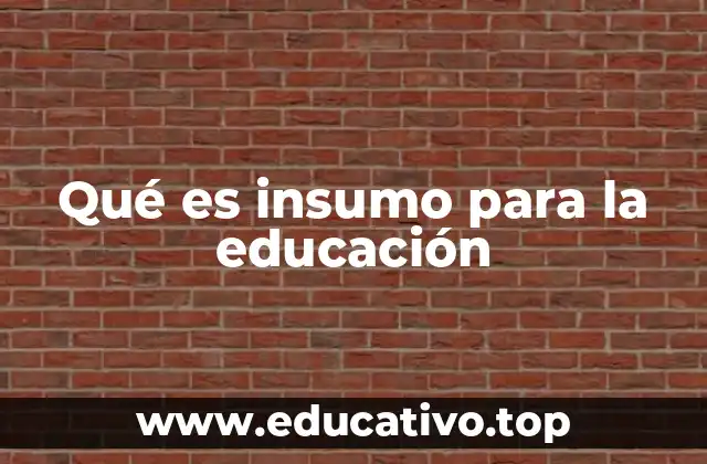 Qué es insumo para la educación