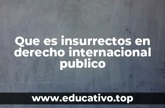 Que es insurrectos en derecho internacional publico