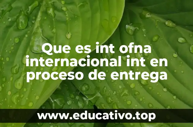 Que es int ofna internacional int en proceso de entrega