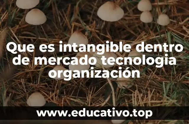Que es intangible dentro de mercado tecnologia organización
