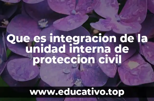 La importancia de contar con una estructura organizada en emergencias