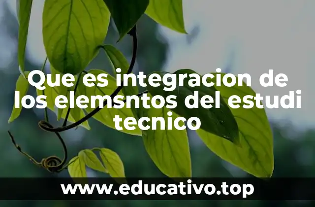 Que es integracion de los elemsntos del estudi tecnico