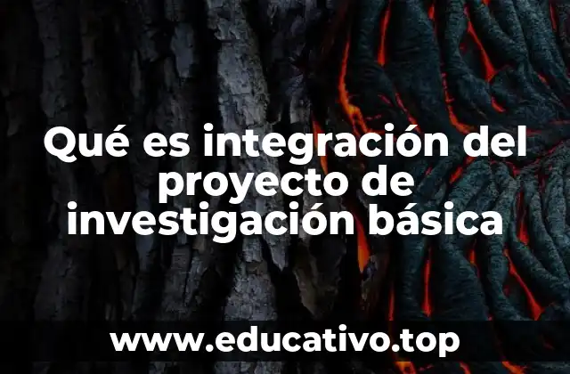 Qué es integración del proyecto de investigación básica