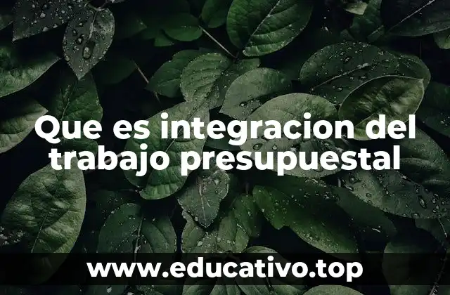 Que es integracion del trabajo presupuestal