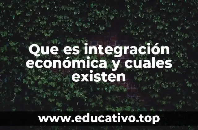Que es integración económica y cuales existen
