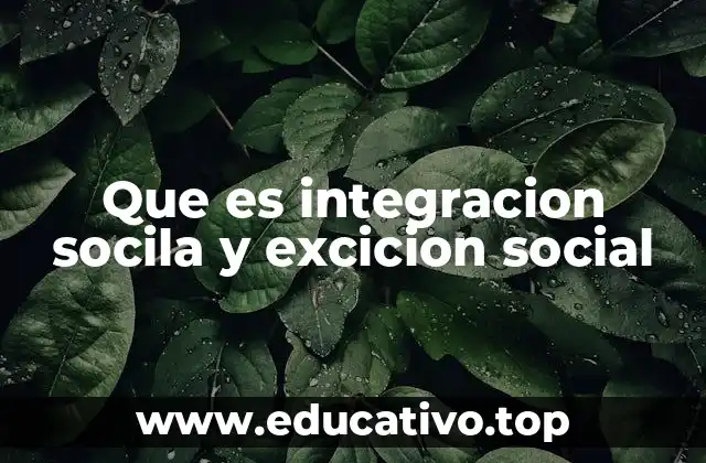 Que es integracion socila y excicion social