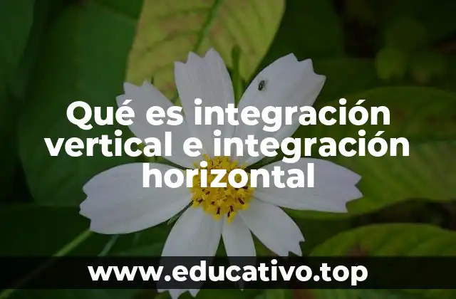 Qué es integración vertical e integración horizontal