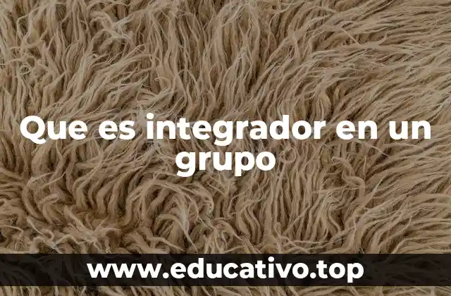 Que es integrador en un grupo