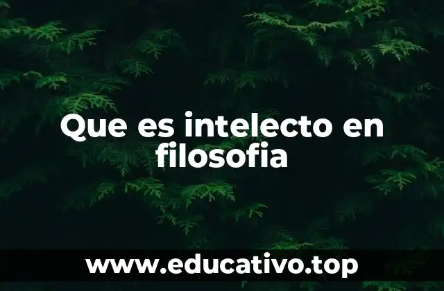Que es intelecto en filosofia