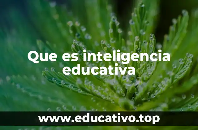 Que es inteligencia educativa