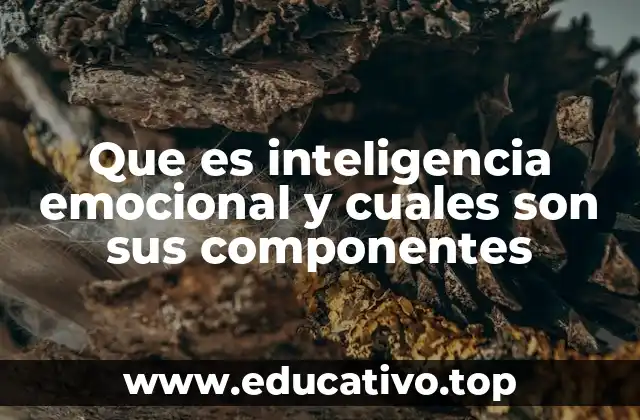 Que es inteligencia emocional y cuales son sus componentes