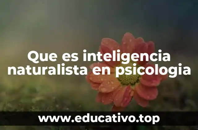 La inteligencia naturalista y su relación con el entorno