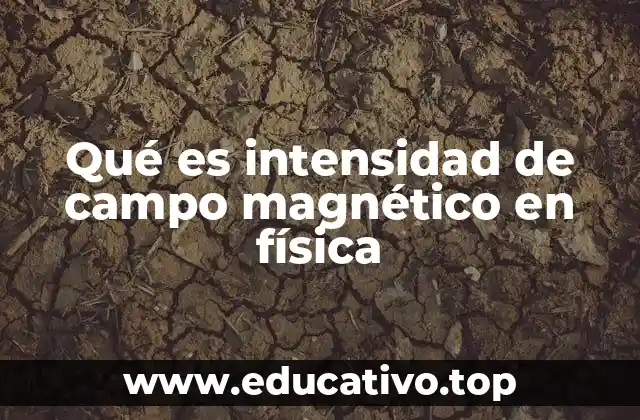 Qué es intensidad de campo magnético en física