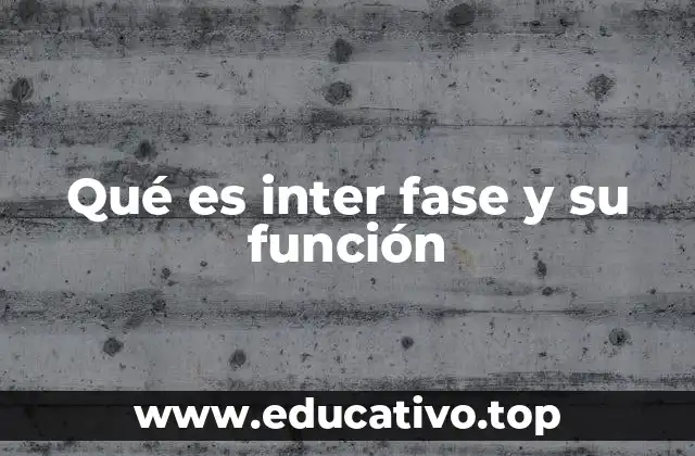 Qué es inter fase y su función