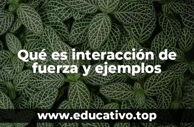 Qué es interacción de fuerza y ejemplos