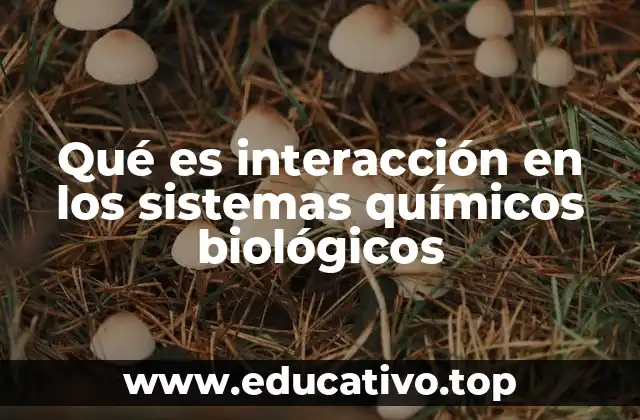 Qué es interacción en los sistemas químicos biológicos