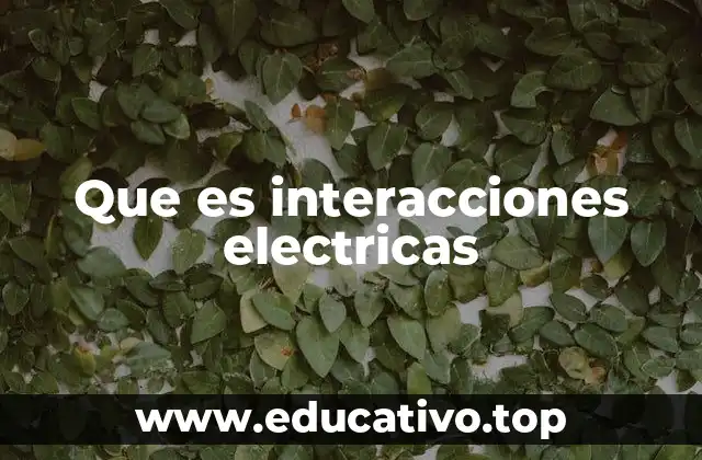 Que es interacciones electricas