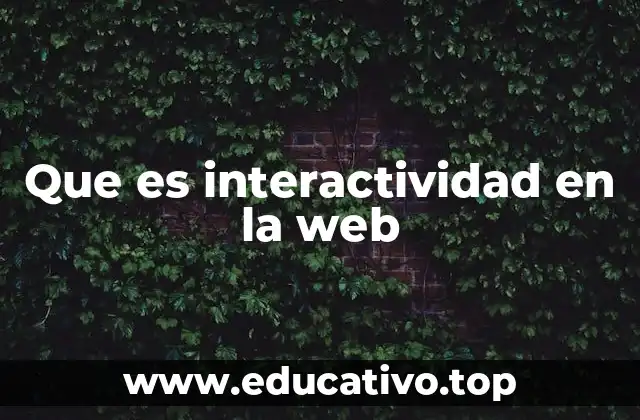 Que es interactividad en la web