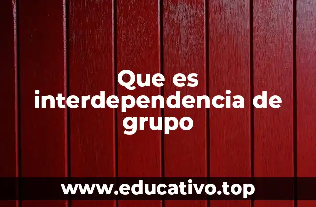 Que es interdependencia de grupo