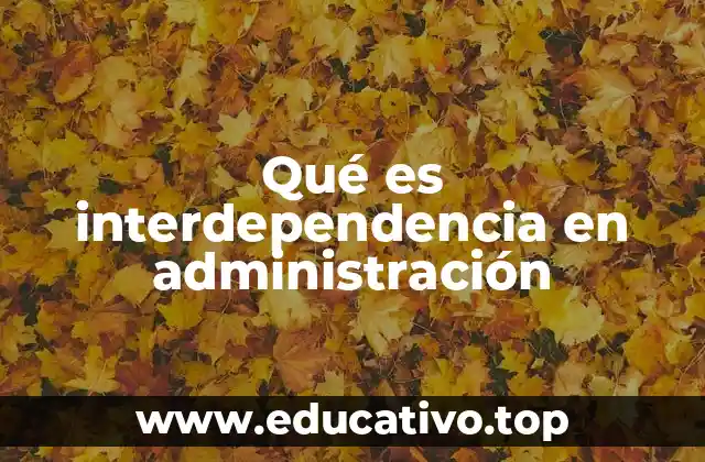 Qué es interdependencia en administración