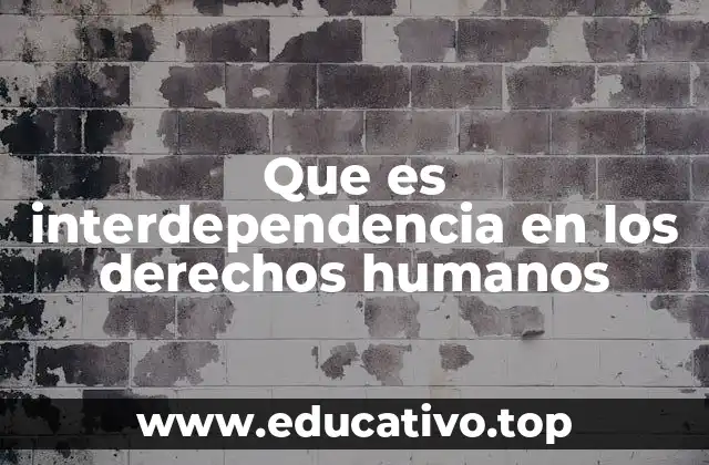 Que es interdependencia en los derechos humanos